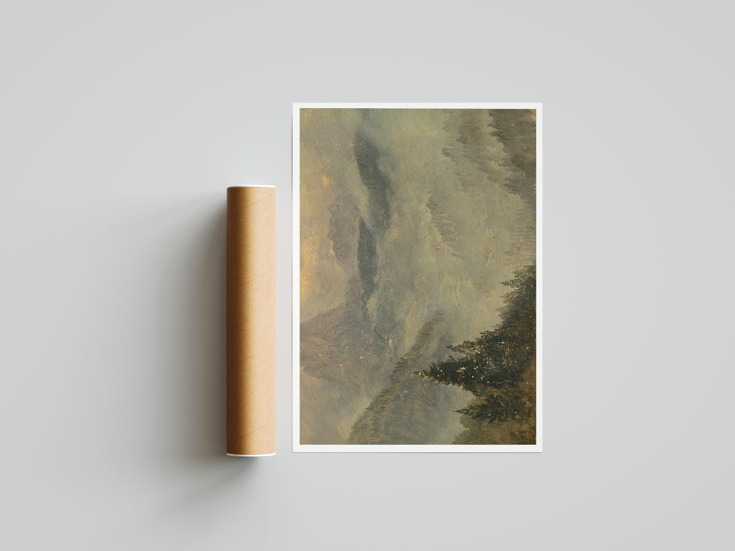 Pines Over Shadowed Mountains