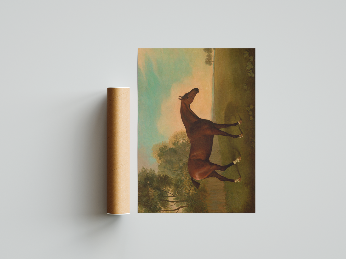 Trot of the Timberlands